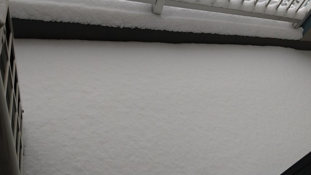 DSC_4324.JPG